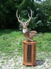 Pedestal Taxidermy Mounts