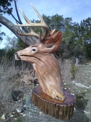 Pedestal Taxidermy Mounts